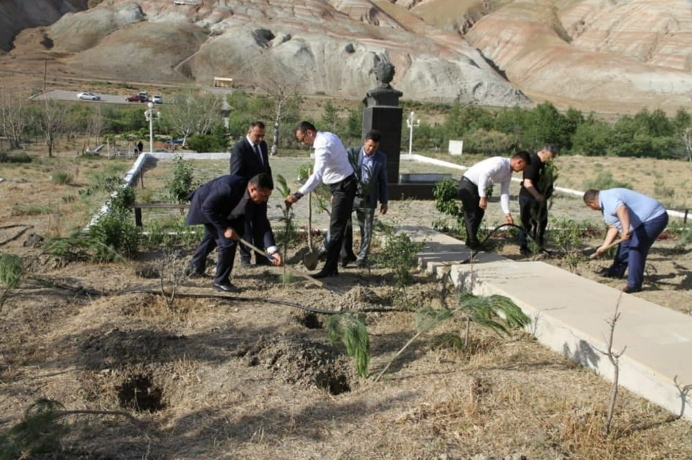 Xızıda Mikayıl Müşfiqin Xatirə Muzeyi ətrafında ağacəkmə aksiyası keçirilib