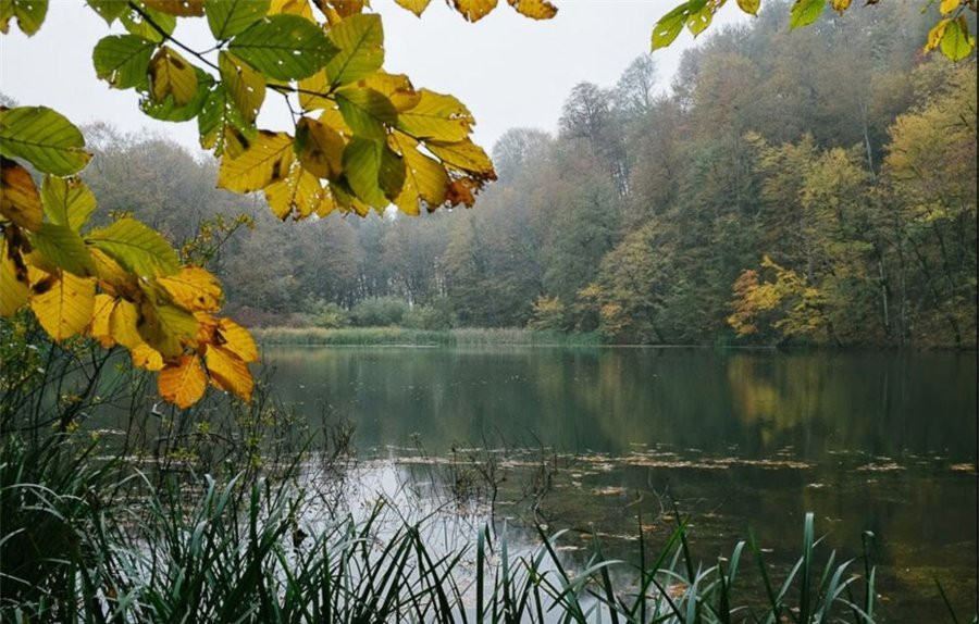 Milli parklarda “Açıq qapı” günü