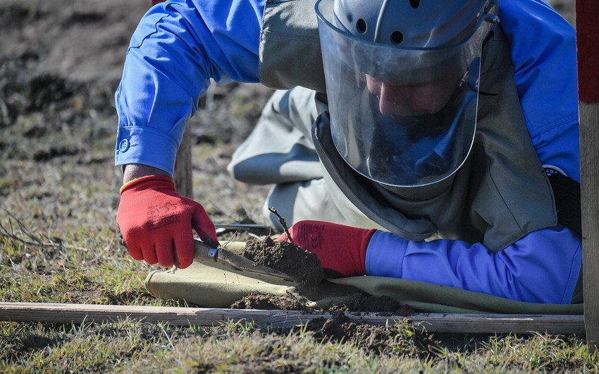15 mines detected in Azerbaijan's liberated areas