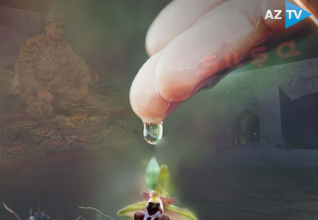 Su çərşənbəsidir