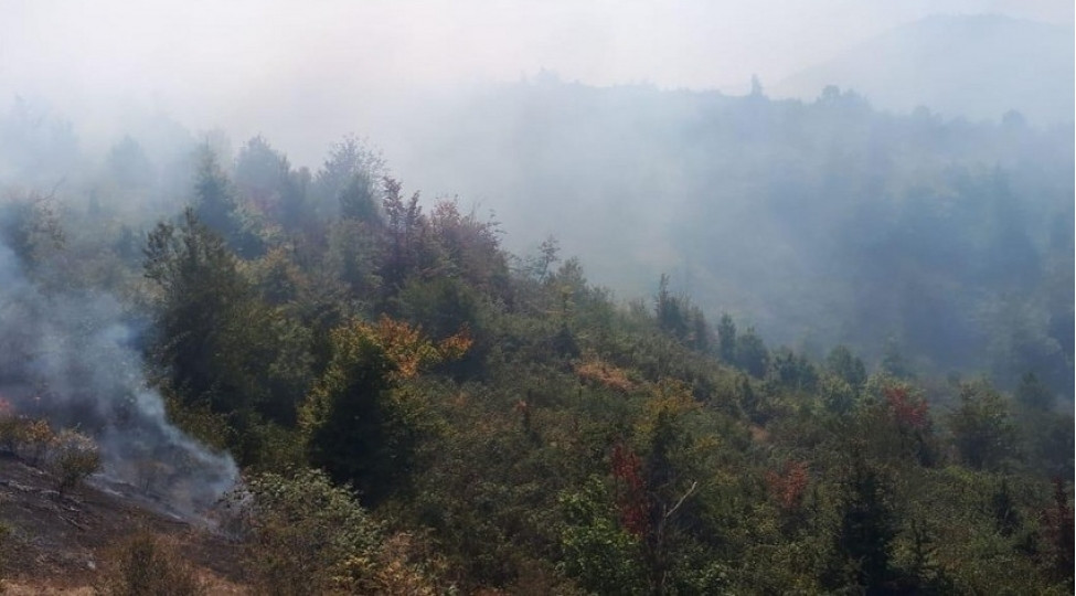 İlisu Dövlət Təbiət Qoruğunda yanğın