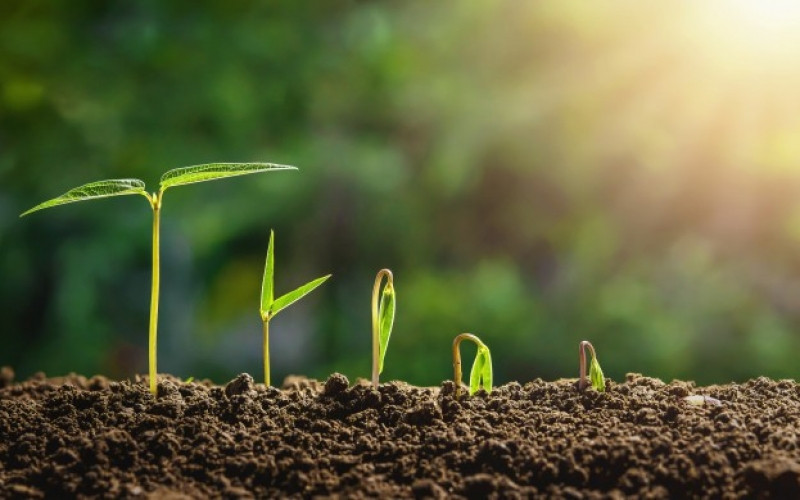 Сегодня в Азербайджане отмечается "Торпаг чершенбеси"