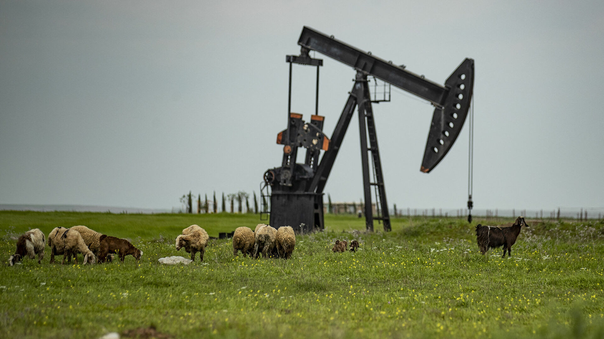 Azərbaycan nefti bir qədər də bahalaşıb