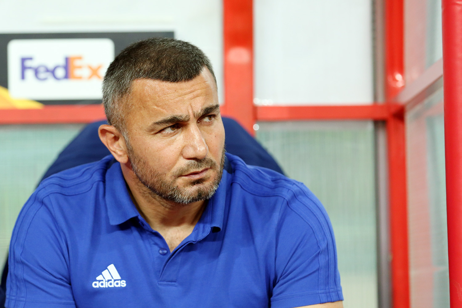 President awards Gurban Gurbanov with Order of Glory