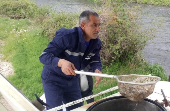 Həkəri və Bərgüşad çaylarına balıq körpələri buraxılıb