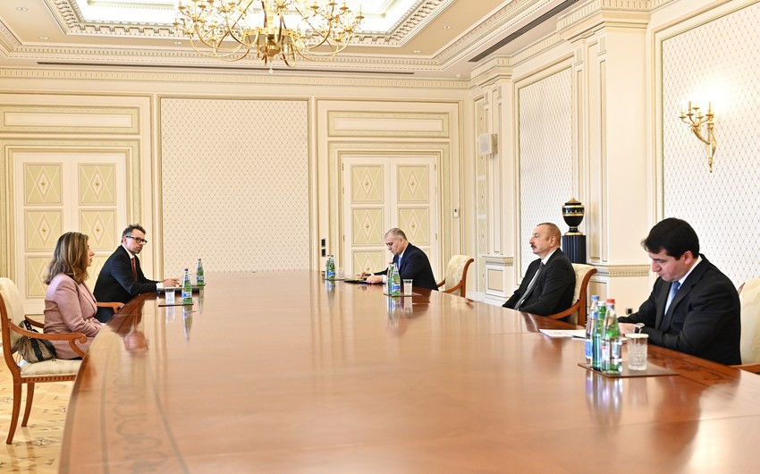 Azerbaijani President receives ICMP Director General