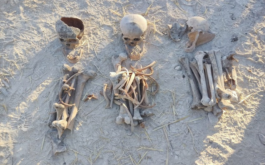 Nazir: "Qarabağda aşkarlanan meyit qalıqlarının müayinəsinə xüsusi təlim keçmiş mütəxəssislər cəlb olunub"