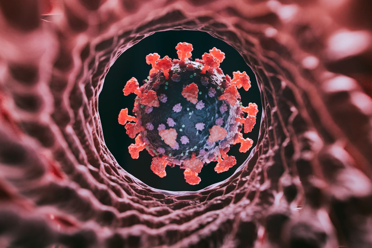 Son sutkada Azərbaycanda COVID-19 infeksiyasına 12 yoluxma faktı qeydə alınıb