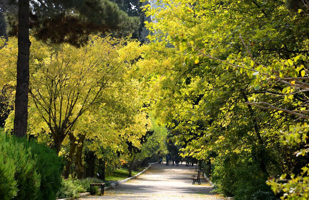 Azerbaijani President allocates 25 mln AZN for reconstruction of Central Botanical Garden