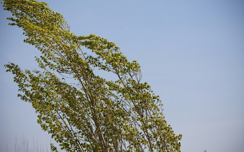 Weather conditions to change in Baku, districts