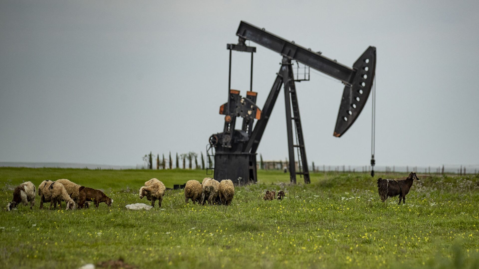 Azərbaycan neftinin qiyməti 122 dollara yaxınlaşır