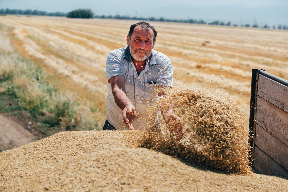 Ölkənin ərzaqlıq buğda ilə özünütəminetmə səviyyəsinin yüksəldilməsi ilə bağlı<mark>FƏRMAN<mark>