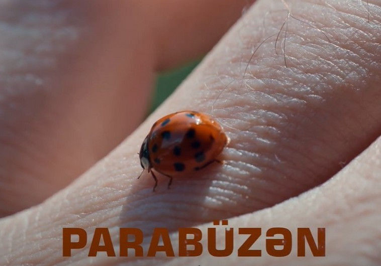 54 gün mühasirədə qalmış azərbaycanlılar barədə film: “Parabüzən”in təqdimatı olub