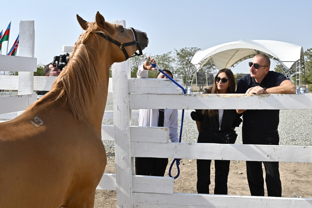Foundation stone for Horse Breeding Center was laid in Aghdam