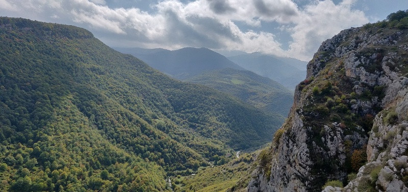Vətən də oxuyarmış...