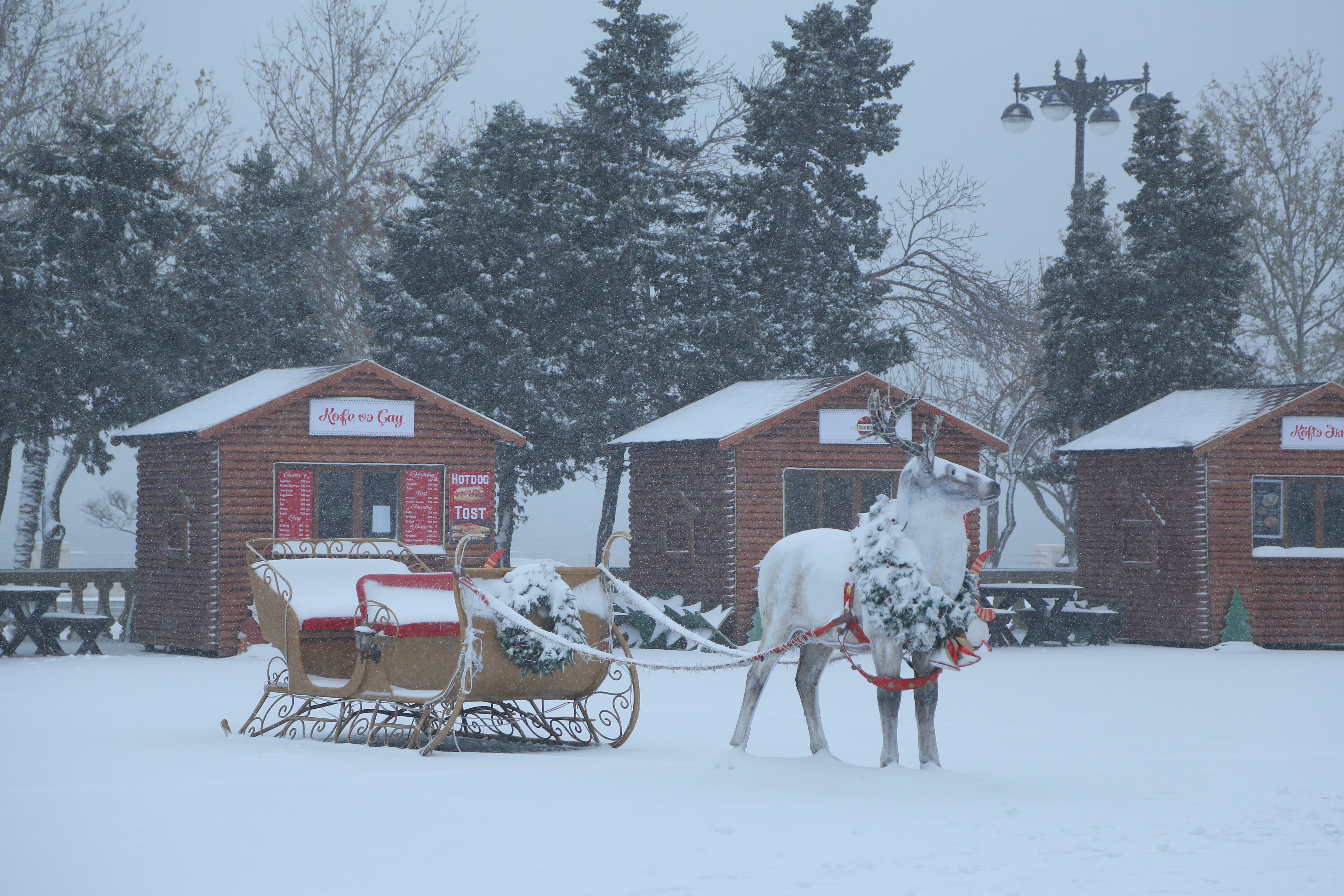 Минимальная температура воздуха в Баку была на 5,3 градуса ниже климатической нормы