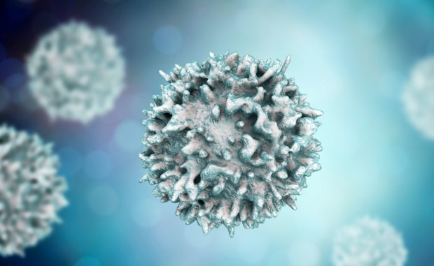 В Азербайджане за последние сутки зарегистрировано 80 фактов заражения коронавирусом