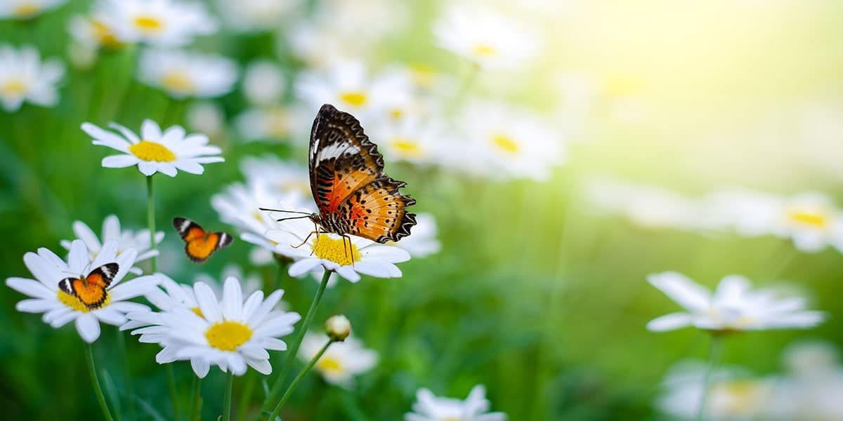 Обнародован прогноз погоды на первый день весны