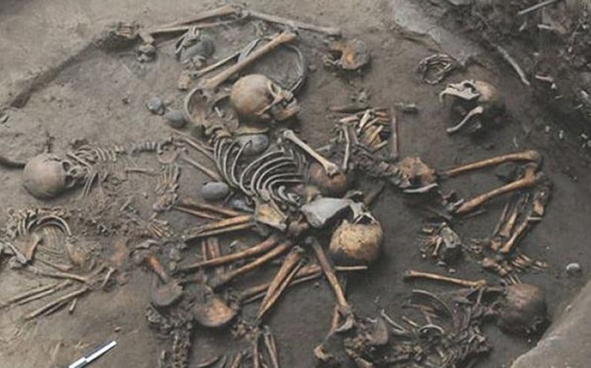 Ağdamda aşkarlanan sümüklərlə bağlı araşdırmalara başlanılıb -