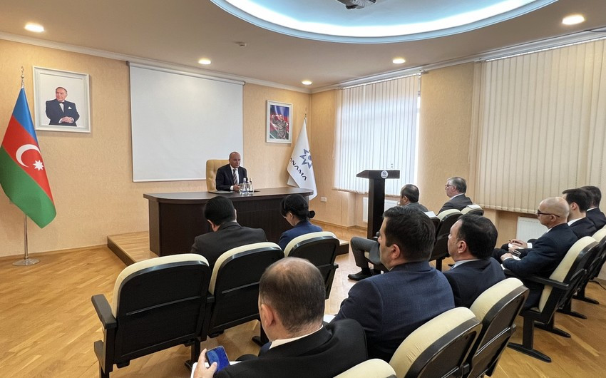 3,878 mines detected in liberated areas, 7,944 hectares cleared