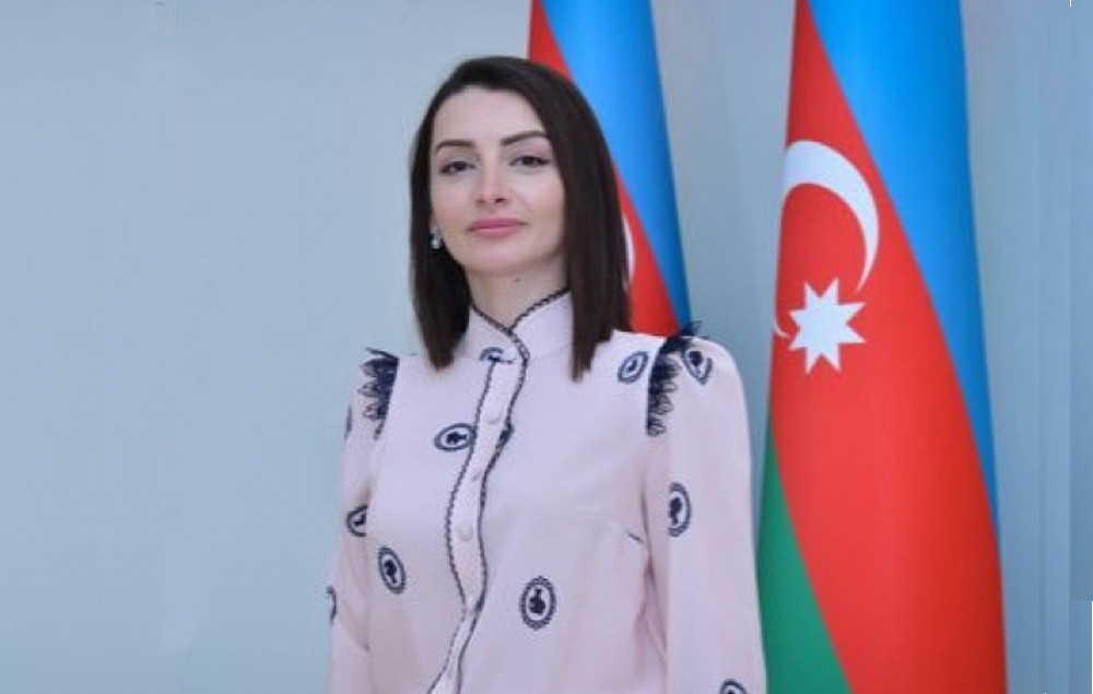 Посол Азербайджана во Франции осудила нападение на сотрудников АзТВ