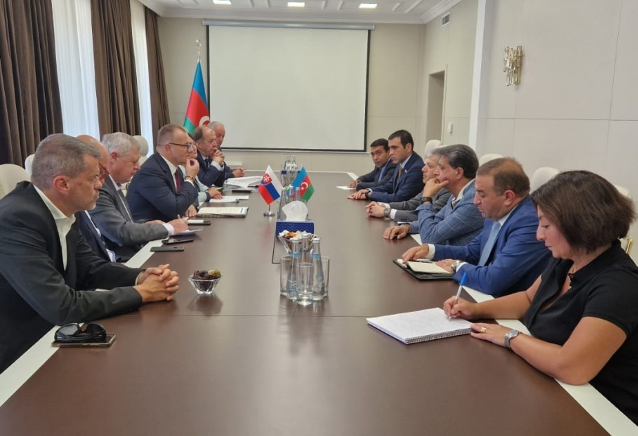 Şuşada Azərbaycanın və Slovakiyanın şəhərləri arasındakı münasibətlərdən danışılıb