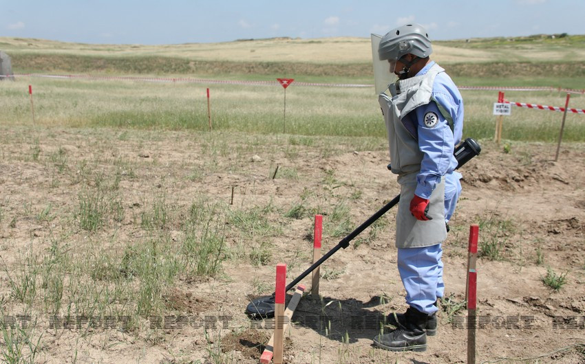 Another 81 mines found in liberated territories of Azerbaijan