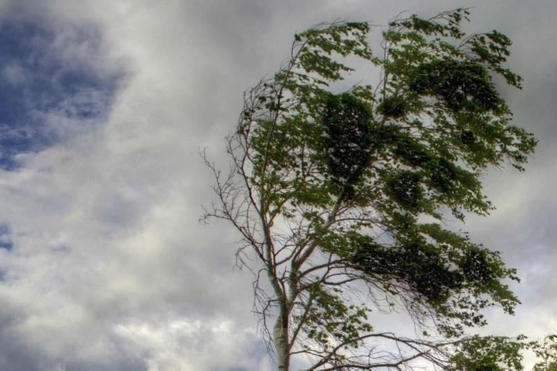 Bakıda güclü külək əsəcək - <mark>XƏBƏRDARLIQ<mark>