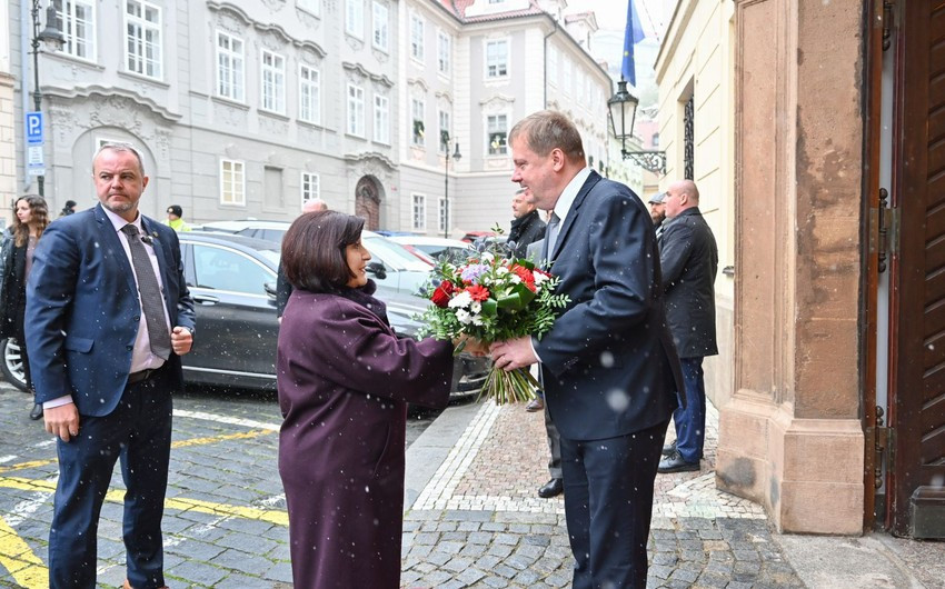 Sahibə Qafarova: "Azərbaycan Ermənistanla sülhə hazırdır"