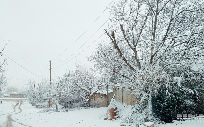Qar yağacaq, temperatur 5-8 dərəcə enəcək - <mark>XƏBƏRDARLIQ<mark>