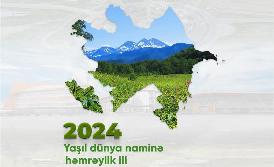 Президент Ильхам Алиев поделился публикацией в связи с объявлением 2024 года Годом солидарности во имя зеленого мира