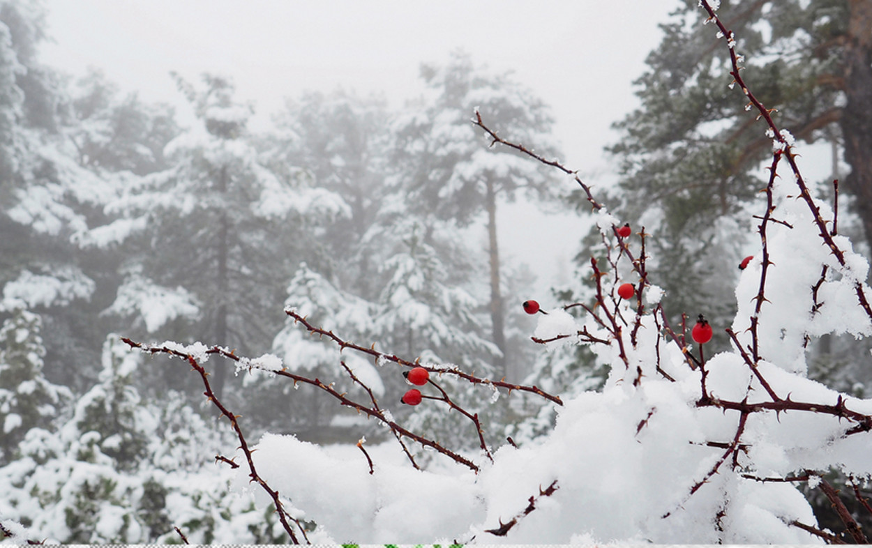 Yağış, qar yağacaq, güclü külək əsəcək - <mark>XƏBƏRDARLIQ<mark>