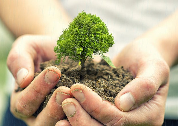 "Yaşıl dünya naminə həmrəylik ili"ndə 5 milyon ağacın əkilməsi planlaşdırılır