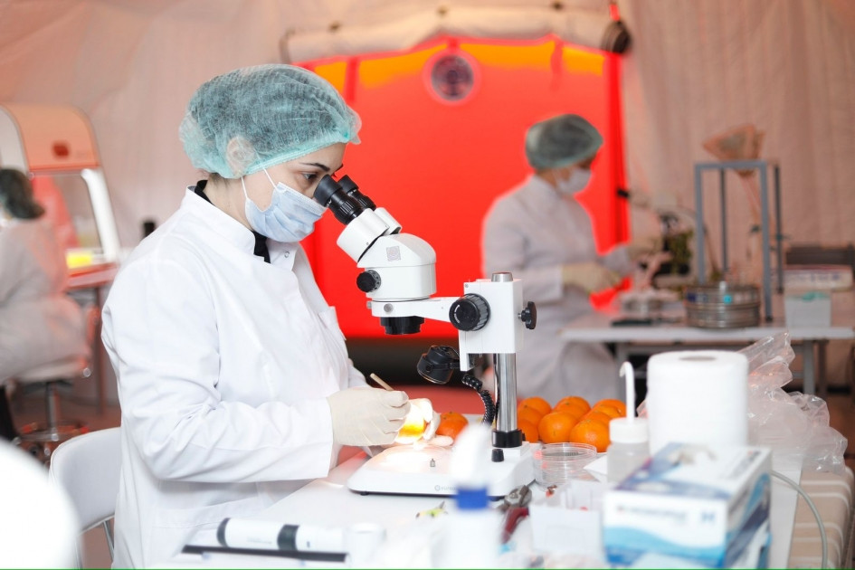 Azərbaycanda ilk dəfə olaraq Səyyar Fitosanitar Laboratoriya fəaliyyətə başlayıb