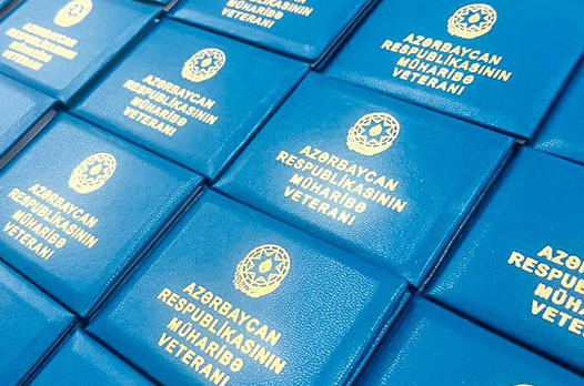 Ombudsman müharibə veteranlarının müavinətinin artırılmasını təklif edib