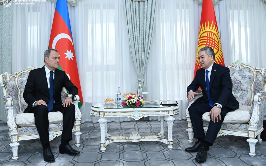 One-on-one meeting between Azerbaijani, Kyrgyz FMs starts