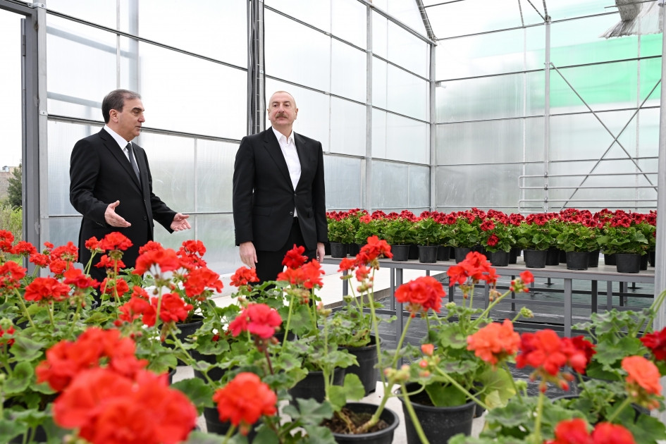 Ознакомление со строительством Экологического паркового комплекса в городе Гянджа