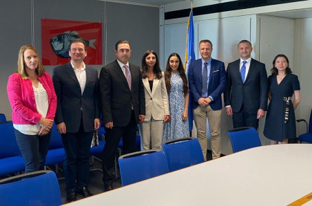 Leyla Aliyeva holds meetings at United Nation’s office in Switzerland