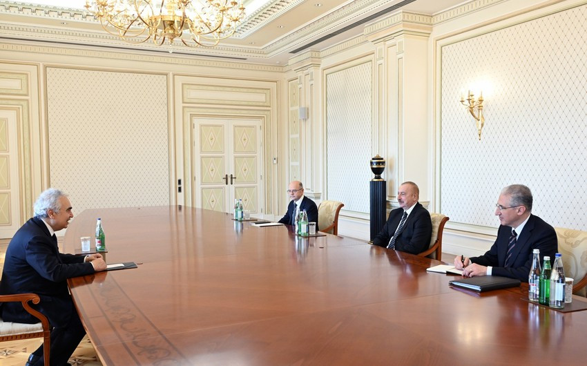 President Ilham Aliyev receives Executive Director of International Energy Agency