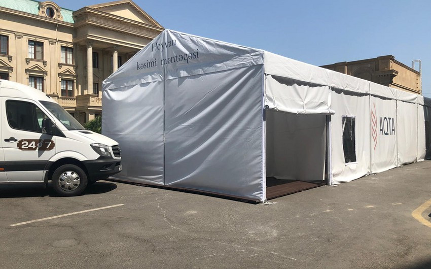 Определены пункты забоя и продажи жертвенных животных на освобожденных территориях