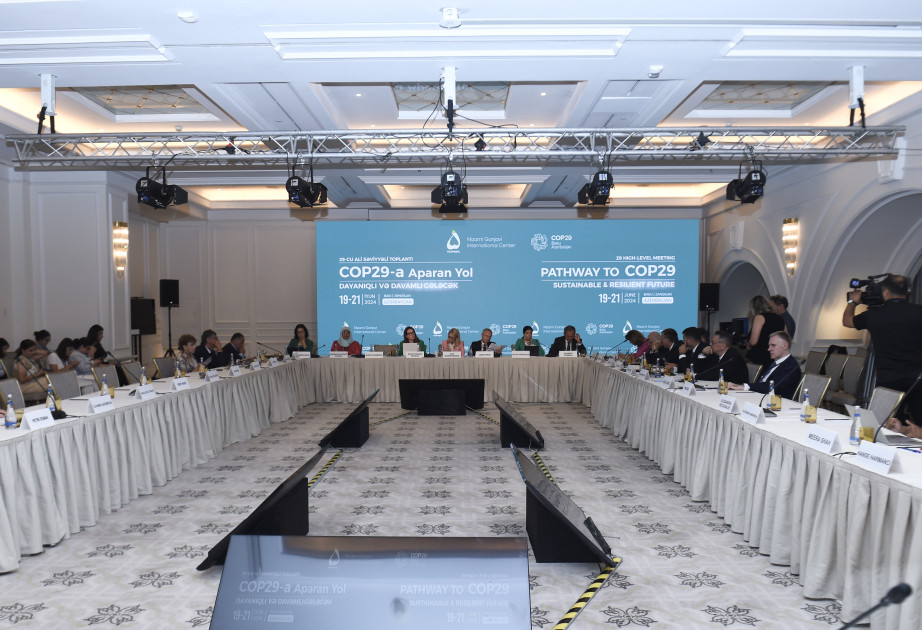 “Pathway to COP29: Sustainable and Resilient Future”