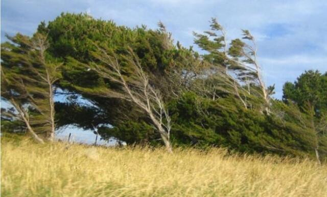 Güclü külək və sel olacaq - <mark>XƏBƏRDARLIQ<mark>