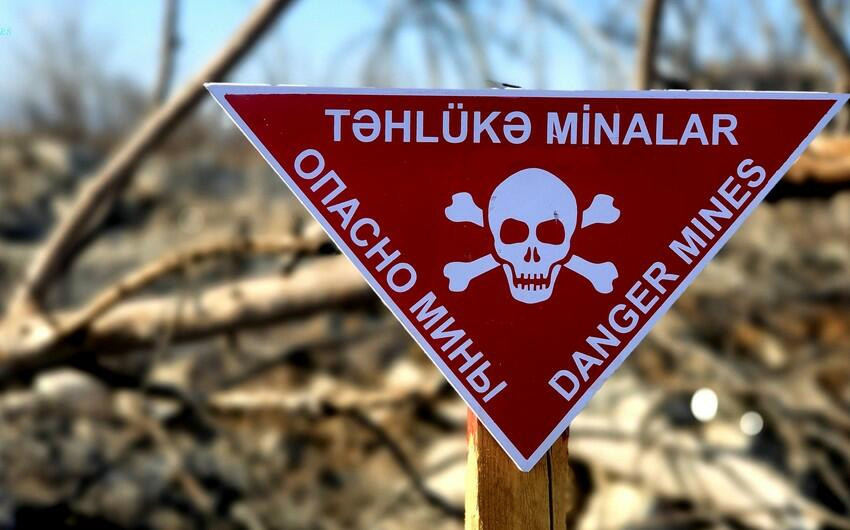 Ötən həftə azad edilmiş ərazilərdə 330 mina zərərsizləşdirilib