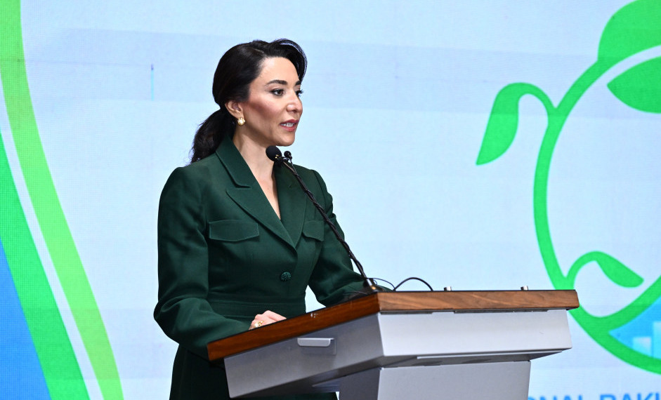 В столице Азербайджана проходит Международный Бакинский форум омбудсменов