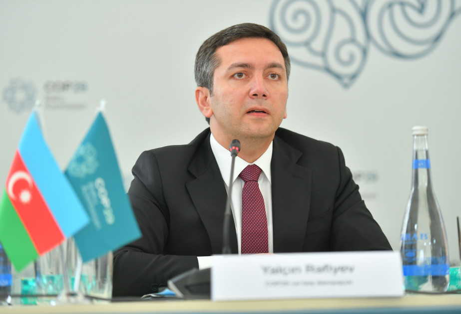 Yalchin Rafiyev: 60 decisions expected to be made at COP29