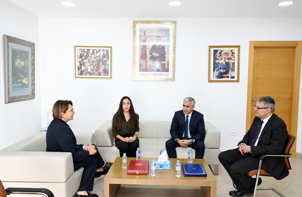 Leyla Aliyeva meets with Vice-President of National Observatory for Rights of Child