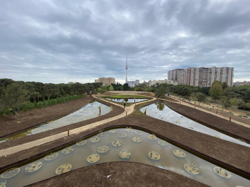 Baku's revamped Central Botanical Garden to welcome visitors soon