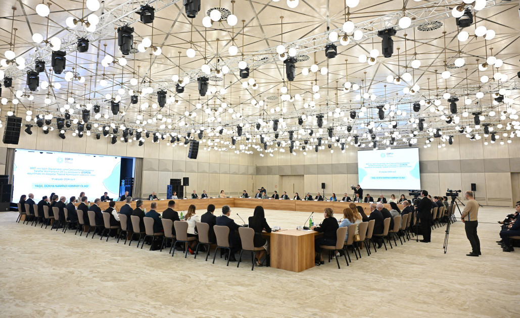 COP29 Organizing Committee convenes eighth meeting