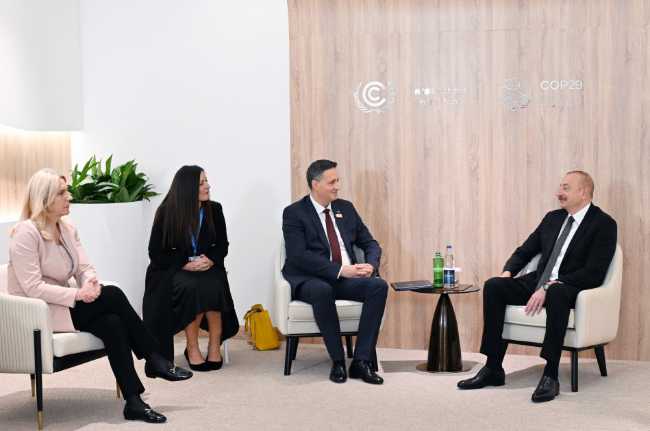 President Ilham Aliyev met with Chairman and member of Presidency of Bosnia and Herzegovina