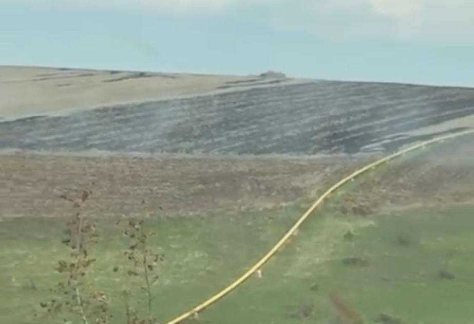 Oğuzda yanğın törədən şəxs məsuliyyətə cəlb olunub